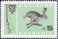 (1967-004) Марка Болгария "Заяц-русак"   Охота II O